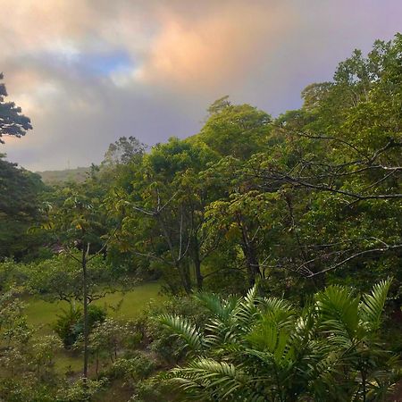 Yerbabuena Lodge Monteverde Ngoại thất bức ảnh