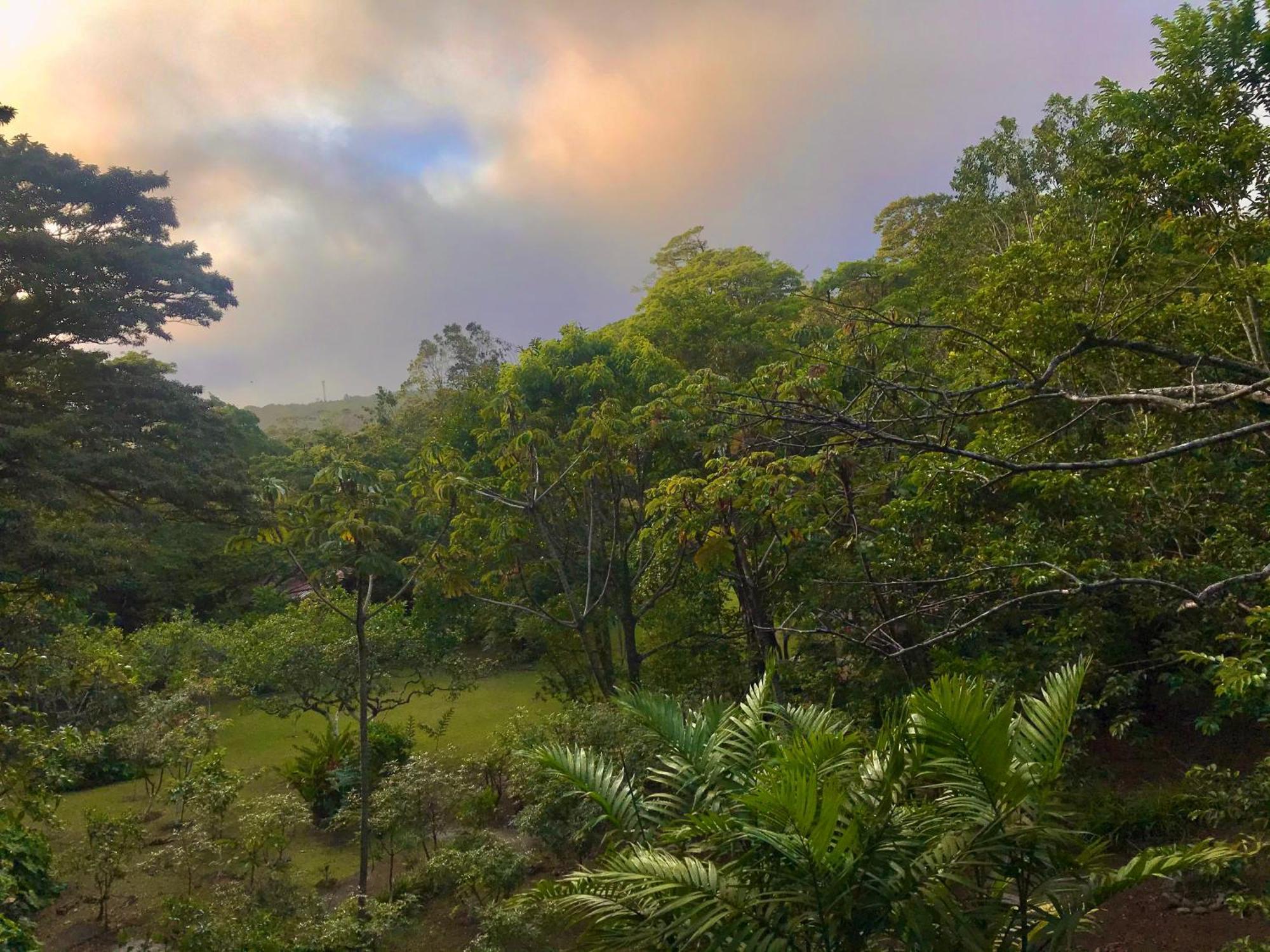 Yerbabuena Lodge Monteverde Ngoại thất bức ảnh